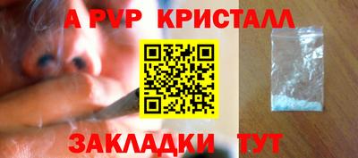 ПСИЛОЦИБИНОВЫЕ ГРИБЫ Кингисепп