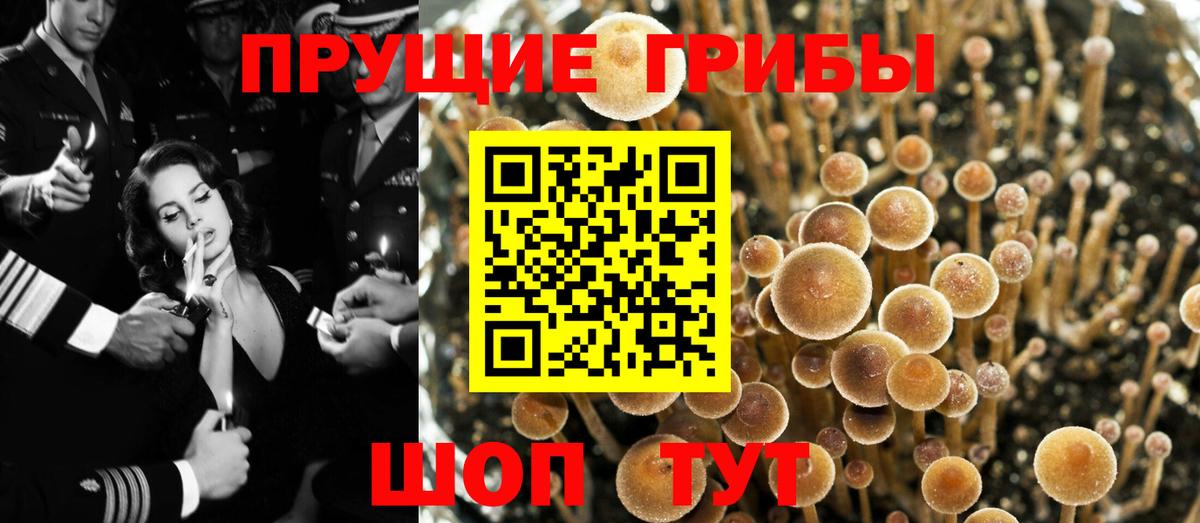 Псилоцибиновые грибы Magic Shrooms Королёв