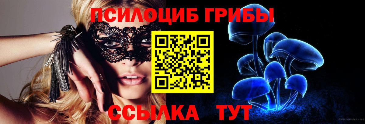 Королёв  Галлюциногенные грибы мицелий  Вход с VPN 